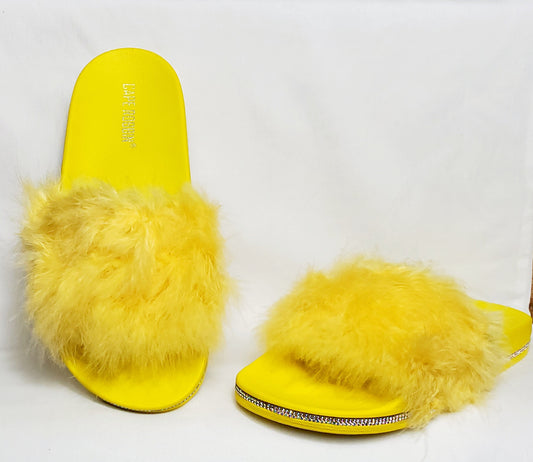 Yellow Fenzy